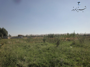 66 tabriz